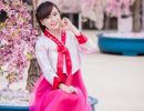 model cherry blossom 222 1250 950